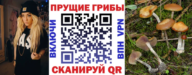 Галлюциногенные грибы мухоморы  Кызыл 